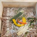 일공공샤브&메밀당 이미지