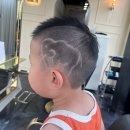 코끼리헤어 이미지