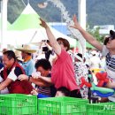 더위아 뉴시스