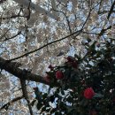 풍경이있는세탁소 이미지