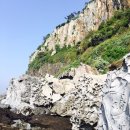 제주앓이 이미지