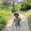 손가네 농장 이미지