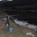 청도천2 티스토리