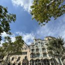 주렴요셉 | 스페인 가우디 투어 해설 / 까사바뜨요, 까사밀라, 사그라다파밀리아, 구엘공원 투어 순서 / 관람후기