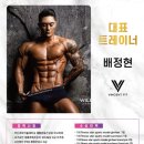 빈센트 핏 이미지