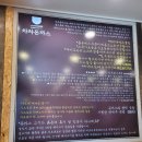 울산 맛집, 키즈카페 추천&lt;차차돈까스, 피터스원 키즈파크2&gt;