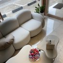 헤이븐헤어 이미지