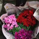 덕천시장 이미지