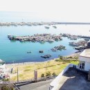 동삼하리항 이미지