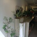 도일약국 이미지