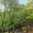 진양호공원전망대 이미지