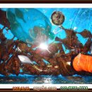 동해세꼬시 이미지