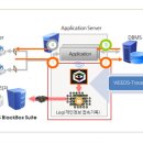 디엔에스컴퍼니 이미지