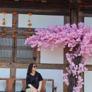 순천만 갈대숲 호스텔 | 순천만국가정원 갈대숲 데이트하기 좋은곳 하루가 모자라!