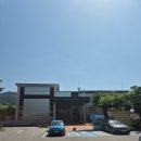 양평곤충박물관 | 양평아이랑가볼만한곳 양평곤충박물관 솔직후기