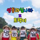 영동과일
