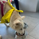 범어동물병원 이미지