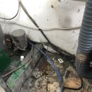 쌍마세탁소 이미지