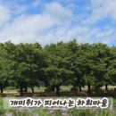 사군자민박 이미지