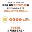 닥터로이 네이버블로그