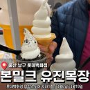 유진목장 | 울산 롯데백화점 잇데이 디저트 팝업 싱싱한 우유맛 그자체 <본밀크 유진목장 아이스크림> 후기 (내돈내산)