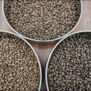 바리스타 중급 야간(3개월 과정) | 대전바리스타학원 창업을 위한 커피자격증 비용 완전정리