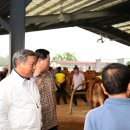 부여시장 이미지