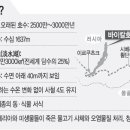 호수&홍익 티스토리