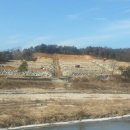 초정마을 이미지