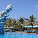 코이스테이 이미지