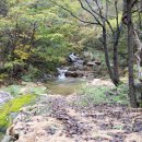 [경북/상주] 여름은 계곡, 가을은 단풍 문장대 사계절 캠핑장