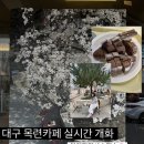 목련시장 | 대구 시지 목련카페 실시간 개화 평일후기(3/24) 켑트 베이커스 +초코바게트맛집