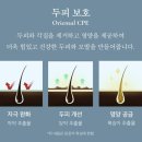 리리크 이미지