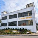 스테이 다로 2 이미지