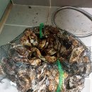 덕발약수탕 이미지