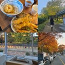 봉황대공원(주차장입구) | 가볼만한곳 데이트 코스 / 봉리단길 오히루텐, 봉황대공원, 수로왕릉 가을포토스팟 &amp; 카페 해이담...