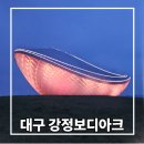 강변 공영주차장 화장실 | 대구 강정보 디아크 주차장과 야경 후기