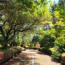 중산간동로 이미지