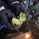 땅끝황토 이미지