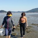 우리섬펜션민박 이미지