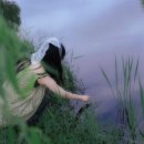 주식회사 민들레 이미지