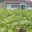 통안경로당 이미지