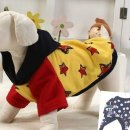 미키애견 이미지