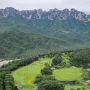 경희 행복나무 한의원 이미지