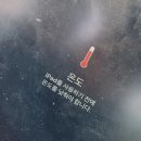 향유포도원