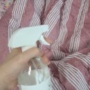 홀리퓨어