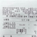 뉴발란스키즈대전점