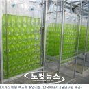 (주)청정에너지 이미지