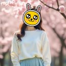다시봄사진관