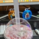 헤이뭉치카페